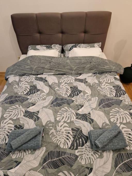 Warm House Full Of Green Ambient,Joy And Comfort Zagreb Extérieur photo